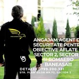 Agenti de paza/ securitate